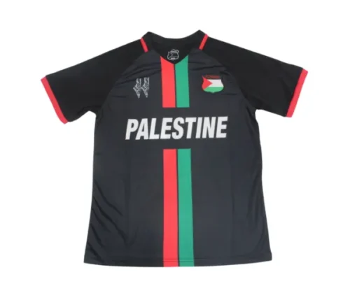 Camiseta Palestina Concepto