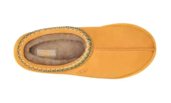 tasman-prezzo-originale-3.webp Tasman Prezzo originale